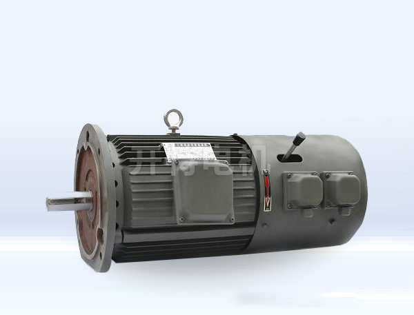 YEJC長期堵轉(zhuǎn)力矩電動機(jī) 廠家直銷